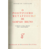 Livros/Acervo/A/AMORIM CARV O POSIT